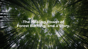 The Healing Power of Forest Bathing and a story